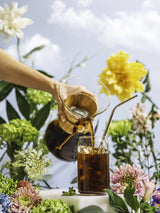 Photo of CHEMEX® Eight Cup Classic ( ) [ Chemex ] [ Pourover Brewers ]
