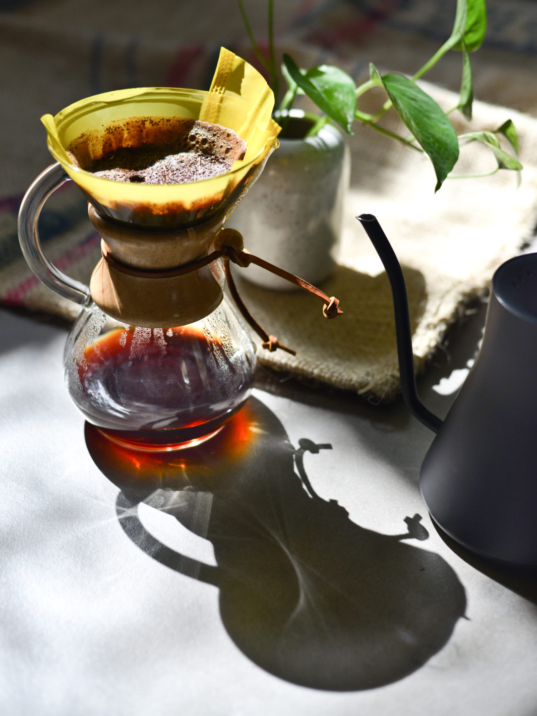 PRECISE BREW CHEMEX® 6Cup Filters Chemex Canada